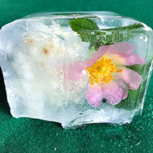Susie Robbins gives tips on grwoing resilience through play (picture of flower frozen in ice)