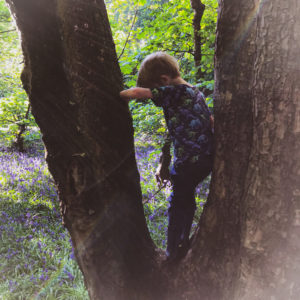 Susie Robbins gives ideas for growing resilience through play (picture of child climbing a tree)